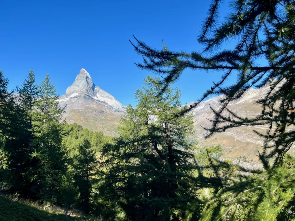 Matterhorn with trees